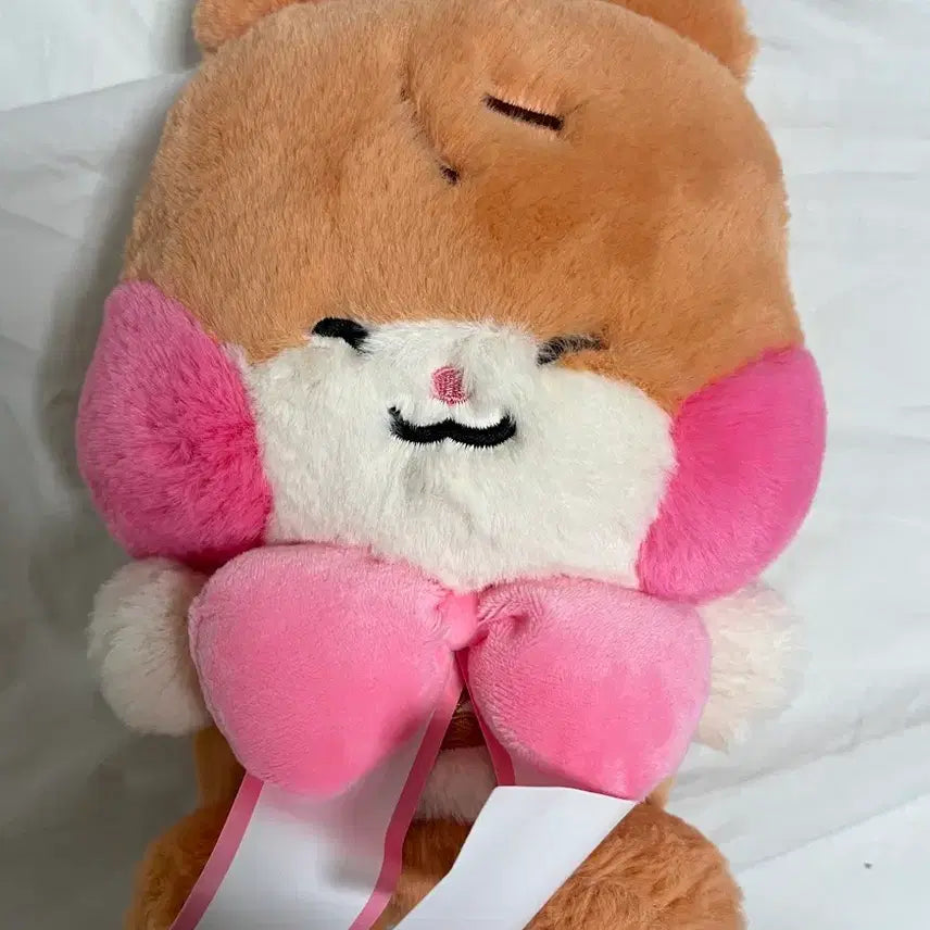 [BUNJANG] ZB1 Zeronine Sung Hanbin Binini Ribbon Doll / 제베원 제로니 성한빈 비니니 리본 인형