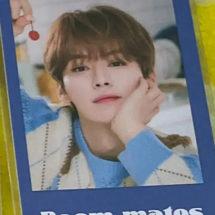 [BUNJANG] Stray Kids Lee Know &amp; I.N Photocard Bundle Set / 시그 포카 리노 아이엔