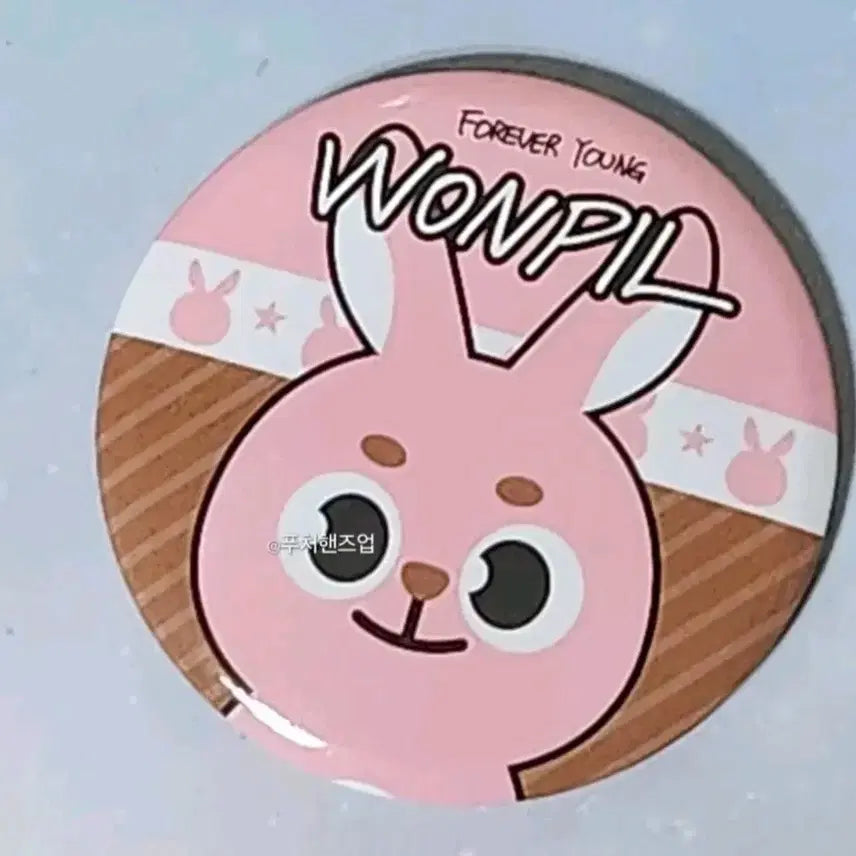[BUNJANG] DAY6 Wonpil Photocard/Badge Set / DAY6 데이식스 광주 포카/뱃지 양도 (원필)