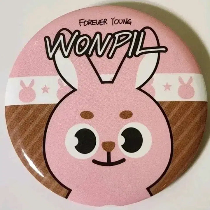 [BUNJANG] DAY6 Wonpil Photocard/Badge Set / DAY6 데이식스 광주 포카/뱃지 양도 (원필)