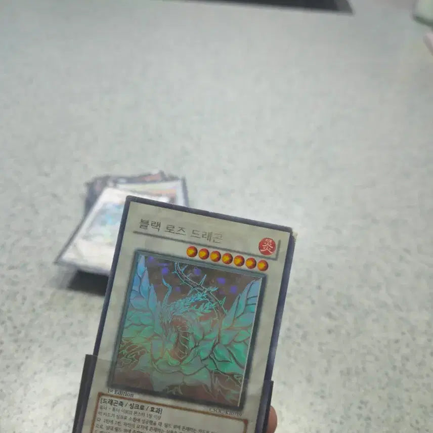 [BUNJANG] Black Rose Dragon Holographic 1st Edition Card / 블랙로즈드래곤 홀로 1st