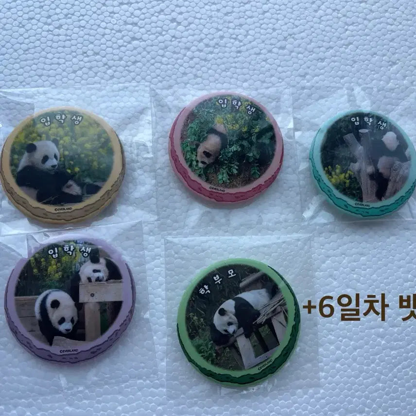 [BUNJANG] Everland Panda Cafe New Semester Set Badge (6 Items) / (6개 드볼)에버랜드 판다카페 신학기 세트 루후 마카롱 유채 뱃지 6개