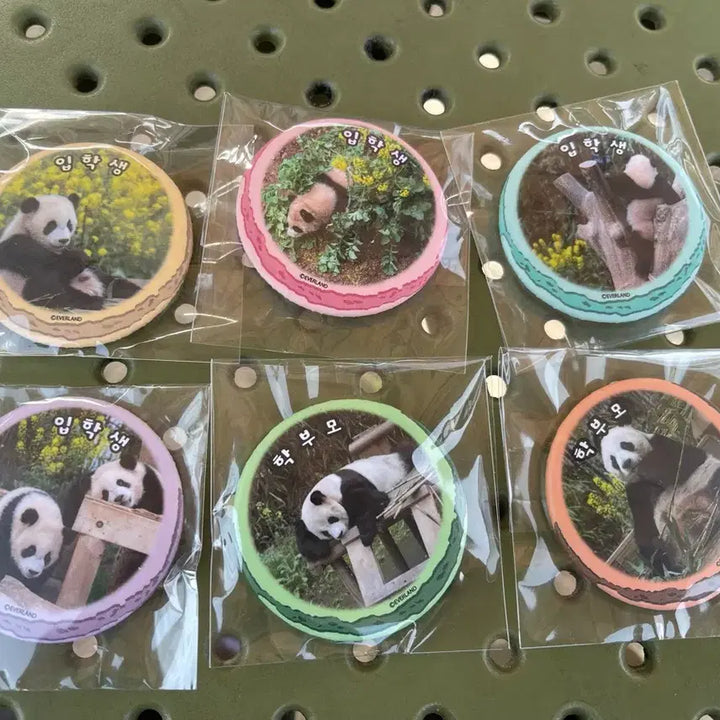 [BUNJANG] Everland Panda Cafe New Semester Set Badge (6 Items) / (6개 드볼)에버랜드 판다카페 신학기 세트 루후 마카롱 유채 뱃지 6개