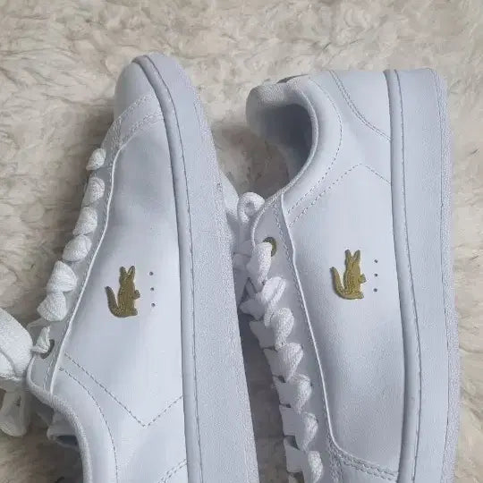 [BUNJANG] Lacoste Carnaby Pro Sneakers / 라코스테 카나비프로 스니커즈