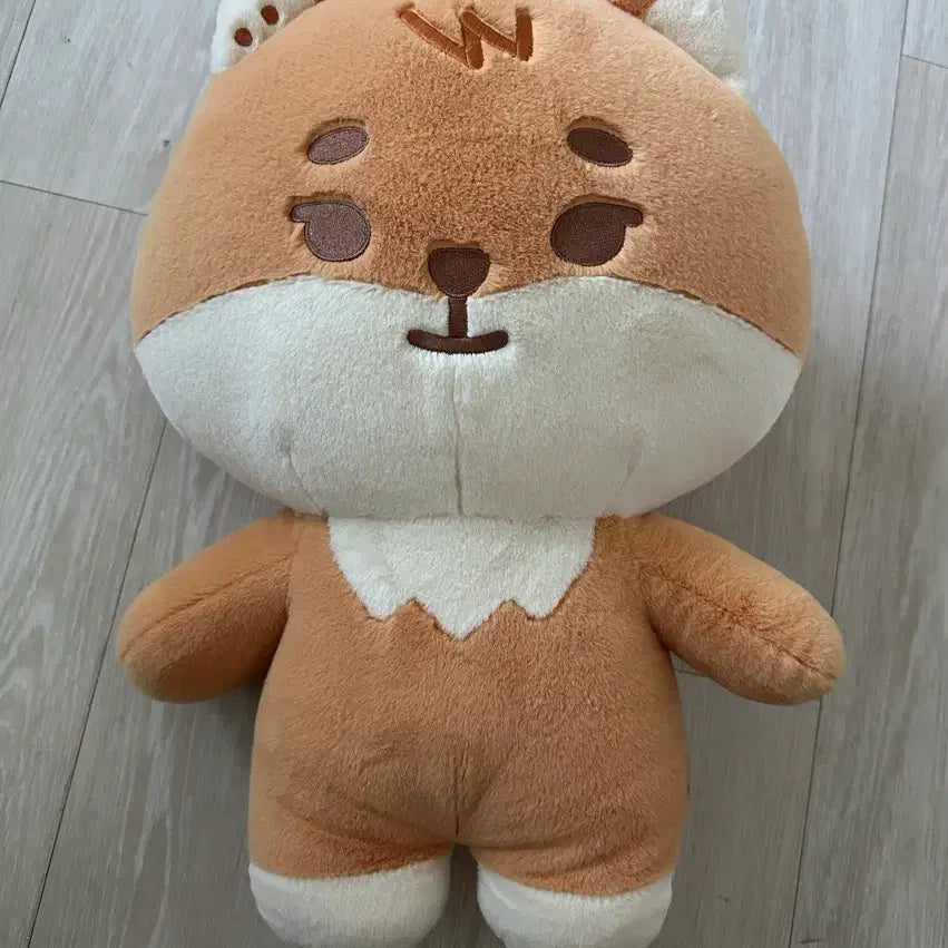 [BUNJANG] Day6 Giant Petitmalz Key / 데이식스 자이언트 쁘띠멀즈 케