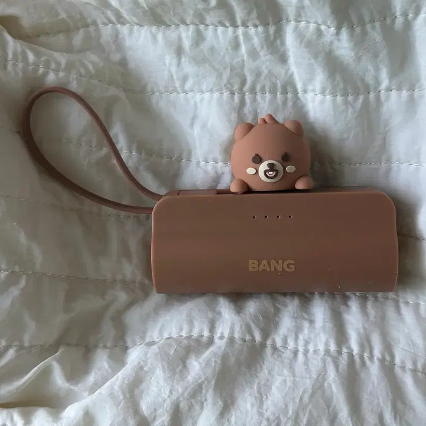 [BUNJANG] DAY6 Wonpil Auxiliary Battery / 데이식스 쁘멀 보조배터리(방필돈)