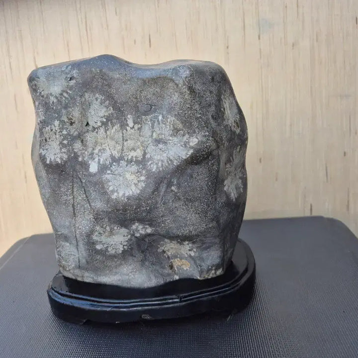 [BUNJANG] Cheongsong Flower Stone (11x21cm) / 17   11   21 센치 청송꽃돌 가격조정사진참고