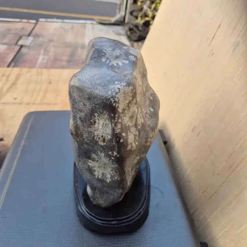 [BUNJANG] Cheongsong Flower Stone (11x21cm) / 17   11   21 센치 청송꽃돌 가격조정사진참고