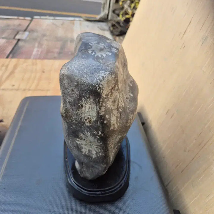 [BUNJANG] Cheongsong Flower Stone (11x21cm) / 17   11   21 센치 청송꽃돌 가격조정사진참고