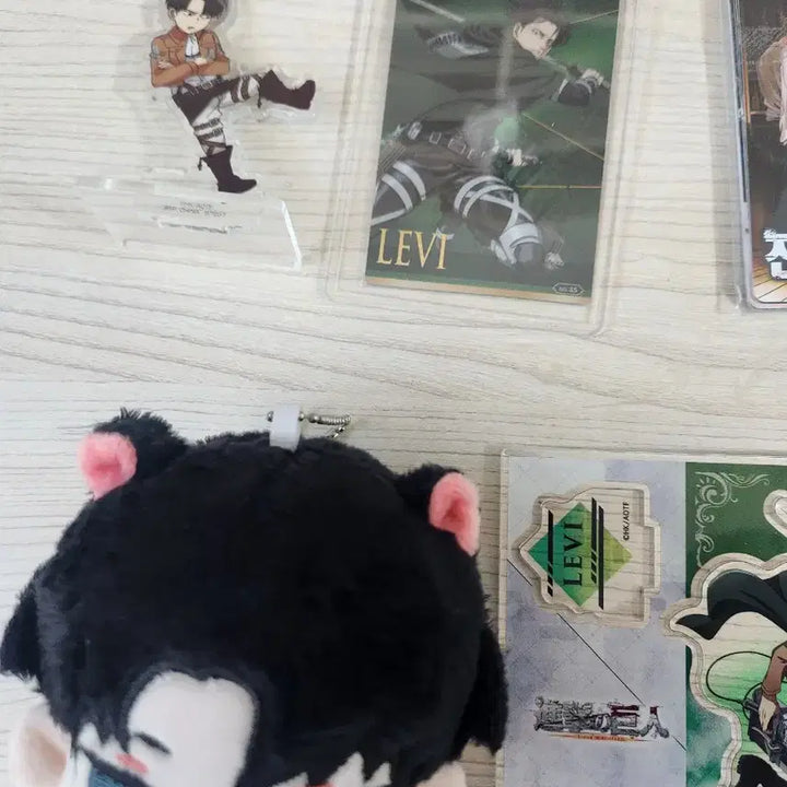 [BUNJANG] Attack on Titan Levi Ackerman Bundle Set / 진격의 거인 굿즈 일괄