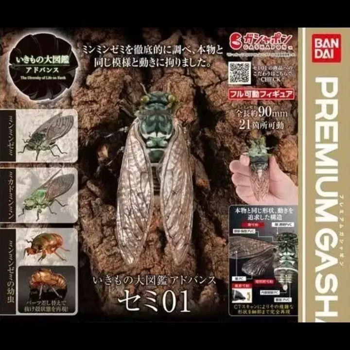 [BUNJANG] Cicada Pupa Figure / 매미번데기 피규어