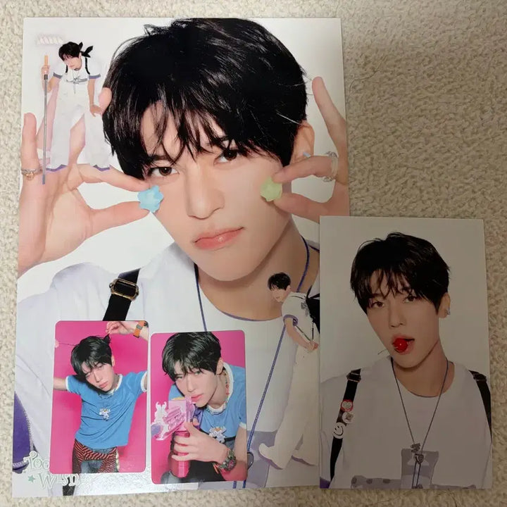 [BUNJANG] NCT WISH Sion Season&
