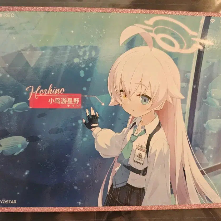 [BUNJANG] Blue Archive Hoshino Chinese Server Official Goods Bundle Set / 블루아카이브 호시노 중섭 공식굿즈