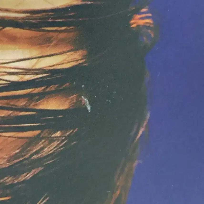 [BUNJANG] RIIZE Anton RIIZING Folded Poster Set / 앤톤 라이징 앨범 접지 포스터 3종 판매