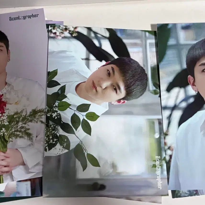 [SOLD OUT] 데이식스 2019 팬미팅 센토그래퍼 엽서,북마크 성진
