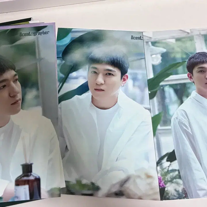 [SOLD OUT] 데이식스 2019 팬미팅 센토그래퍼 엽서,북마크 성진