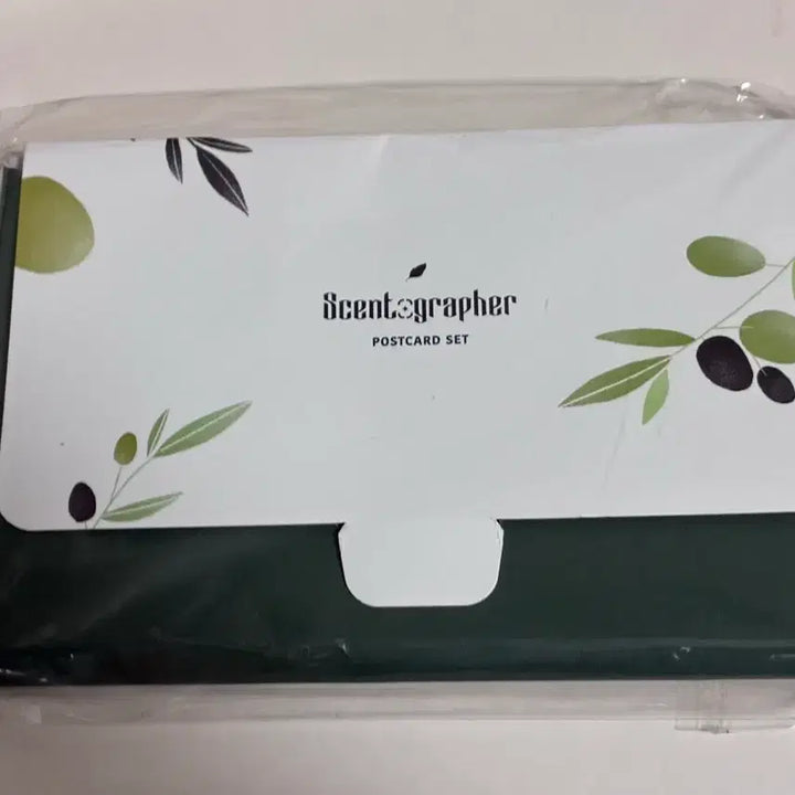 [SOLD OUT] 데이식스 2019 팬미팅 센토그래퍼 엽서,북마크 성진