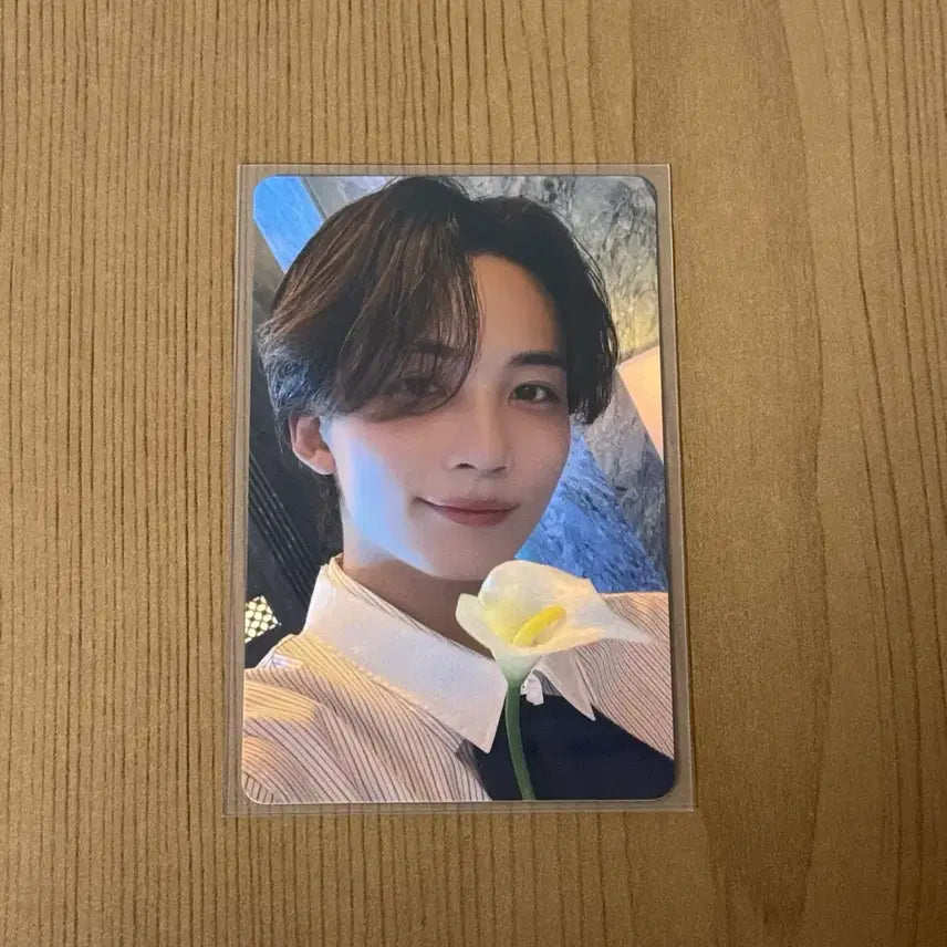 [SOLD OUT] 세븐틴 정한 비더썬 도쿄 돔 회장한정 포카