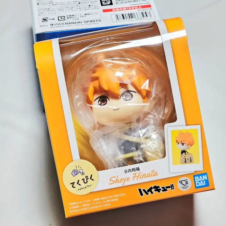 [BUNJANG] Haikyu!! Tekupiku Shoyo Hinata Figure / (미개봉) 하이큐 테쿠피쿠 히나타 쇼요 피규어
