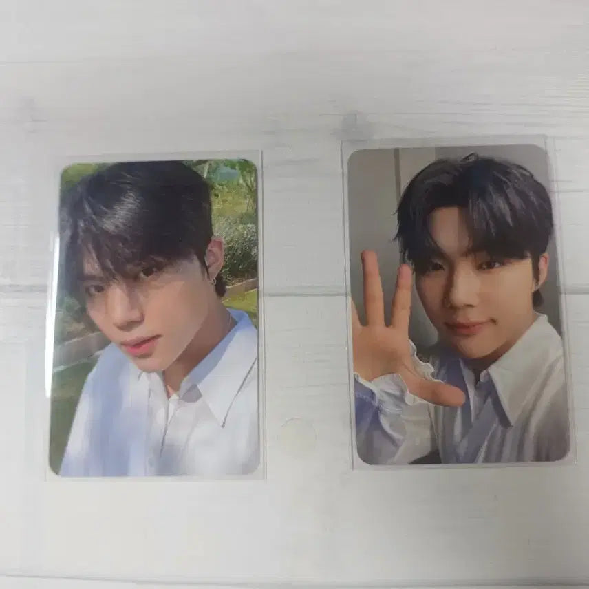 [BUNJANG] ZEROBASEONE Park Gunwook Photocard Bundle Set / 제로베이스원 제베원 박건욱 포토카드