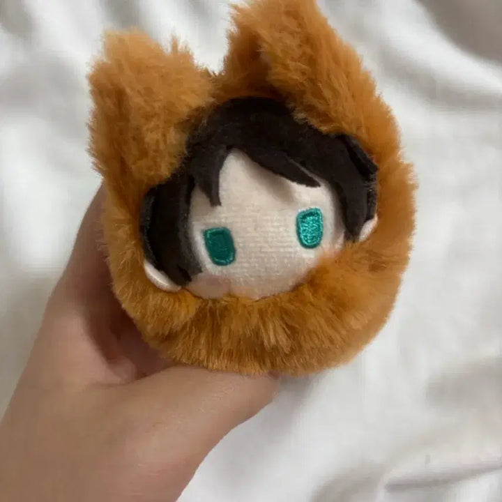[BUNJANG] Attack on Titan Eren Plush Doll / 진격거 진격의 거인 에렌 누이 타피누이 아키키츠네 인형