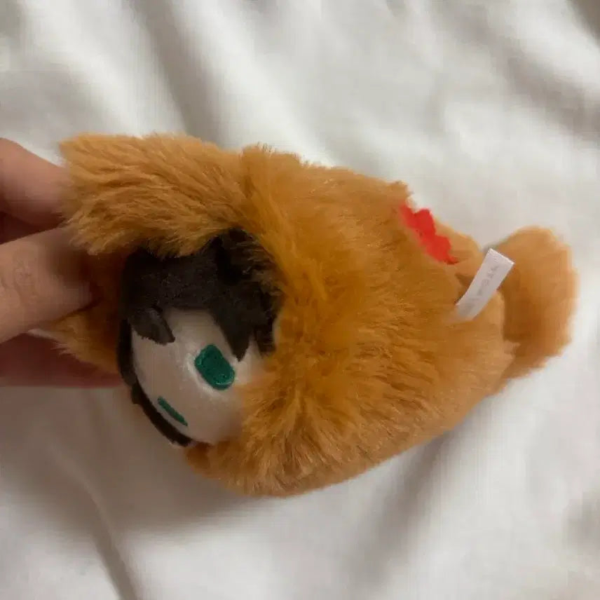 [BUNJANG] Attack on Titan Eren Plush Doll / 진격거 진격의 거인 에렌 누이 타피누이 아키키츠네 인형