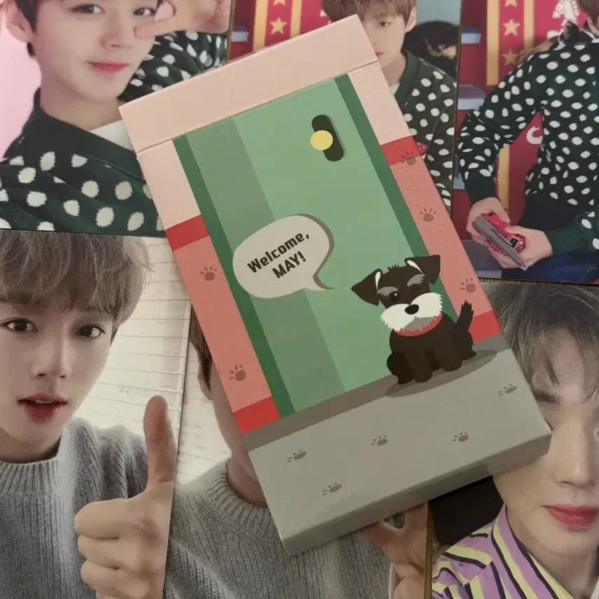 [SOLD OUT] 박지훈 메이 1기 키트 포카 일괄