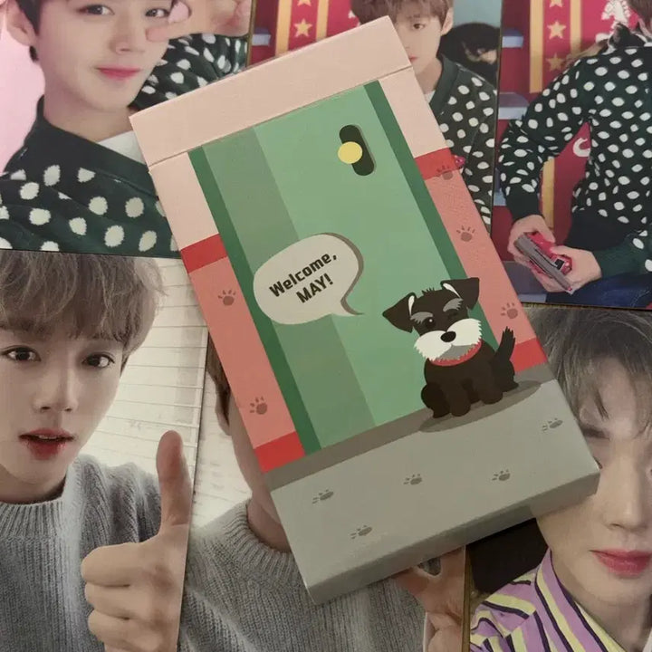 [SOLD OUT] 박지훈 메이 1기 키트 포카 일괄