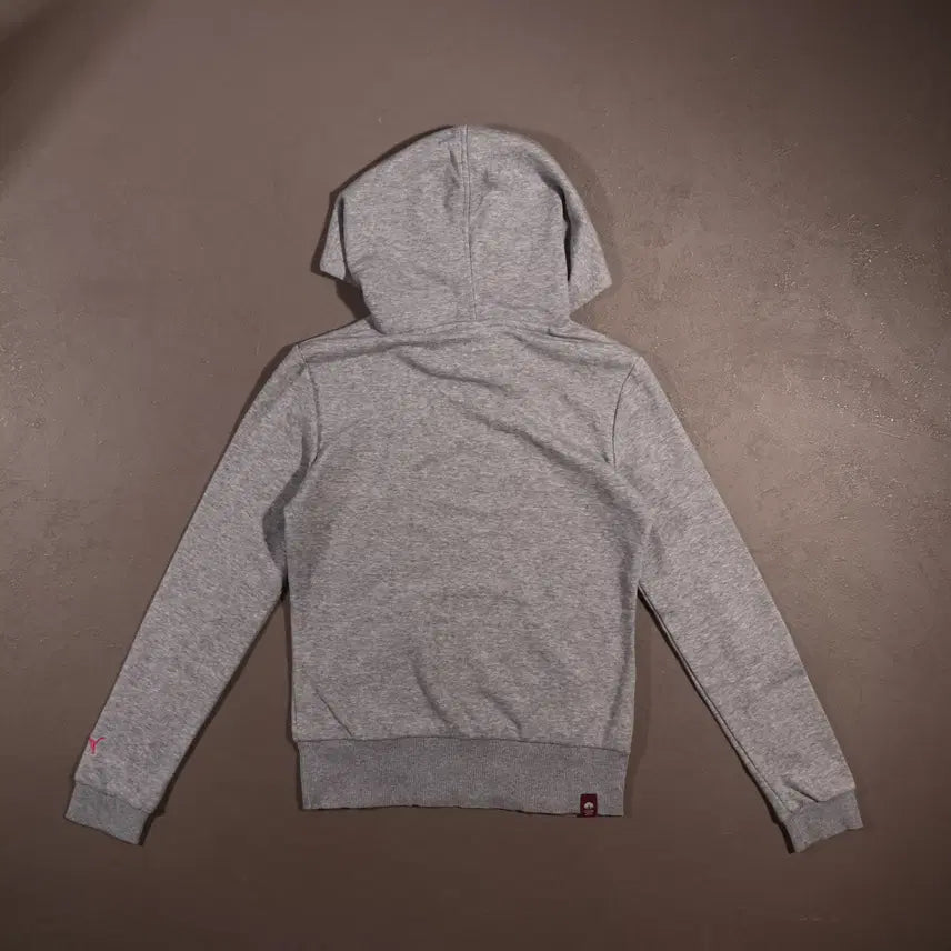 [BUNJANG] Puma Japan Y2K Hoodie C546 / 푸마 재팬 Y2K 후드티 C546