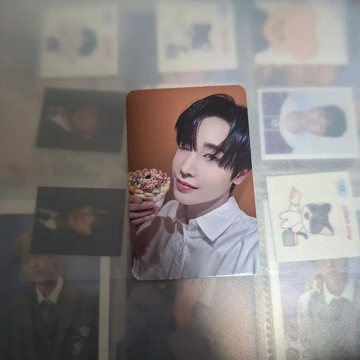 [BUNJANG] xikers Dear My Muse Photocard / 싸이커스 헌터 포카 디어마이뮤즈 디마뮤 포토카드 양도 xikers