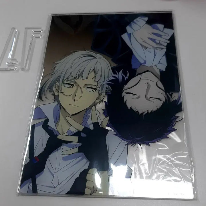 [BUNJANG] Bungo Stray Dogs Atsushi Akutagawa Acrylic Frame / 문스독 아츠시 아쿠타가와 아크릴 액자