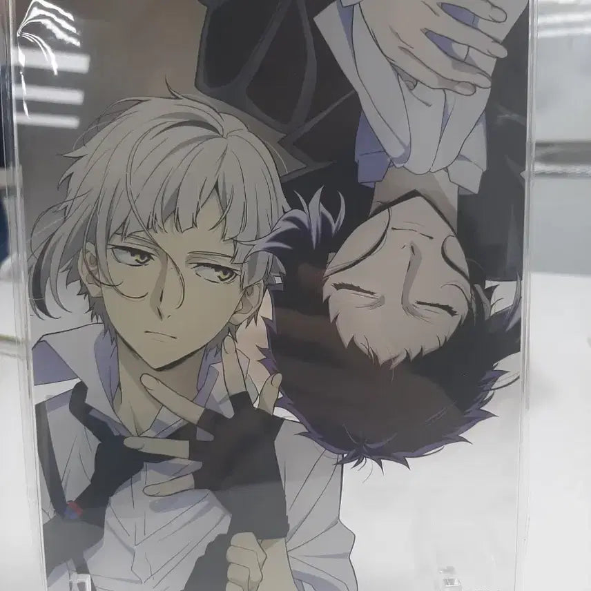 [BUNJANG] Bungo Stray Dogs Atsushi Akutagawa Acrylic Frame / 문스독 아츠시 아쿠타가와 아크릴 액자