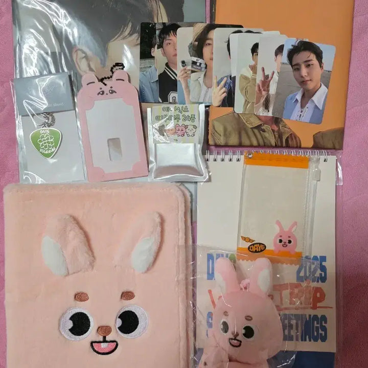 [SOLD OUT] 데이식스 데니멀즈 바인더 필 포함 일괄