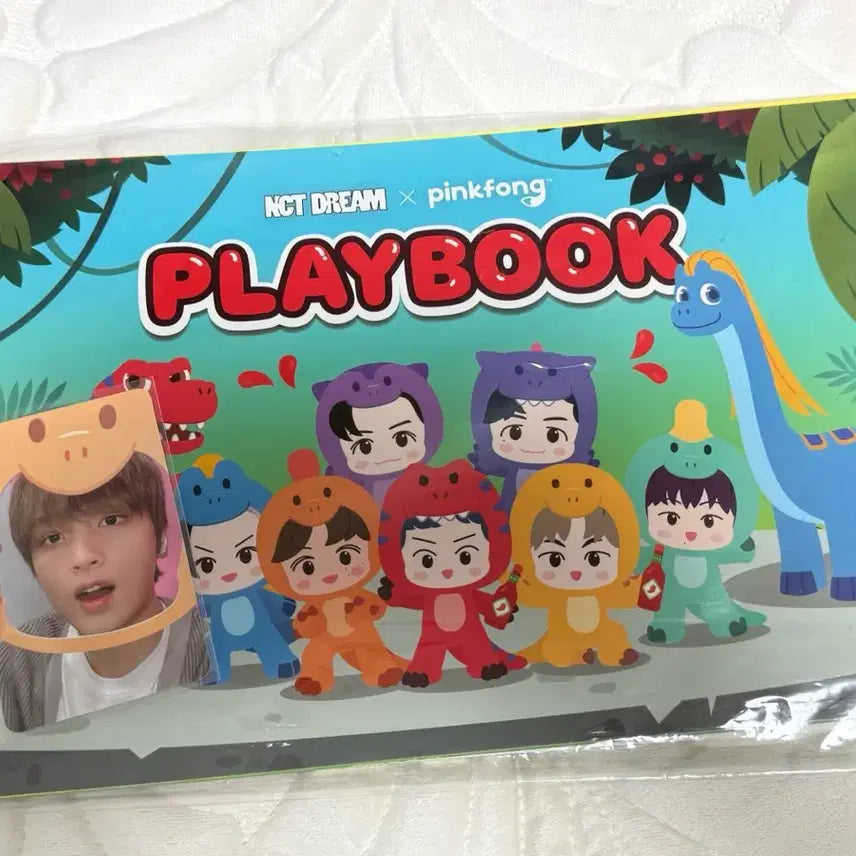 [BUNJANG] NCT Dream Haechan Photocard Bundle Set / 엔시티드림 핑크퐁 플레이북 해찬 포카 일괄 양도