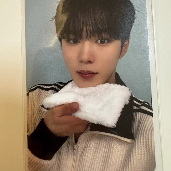 [BUNJANG] Alpha Drive One Junseo POB Photocard / 알파드라이브원 ad1 유포리아 스타로드 엠넷 플러스머치 특전 준서
