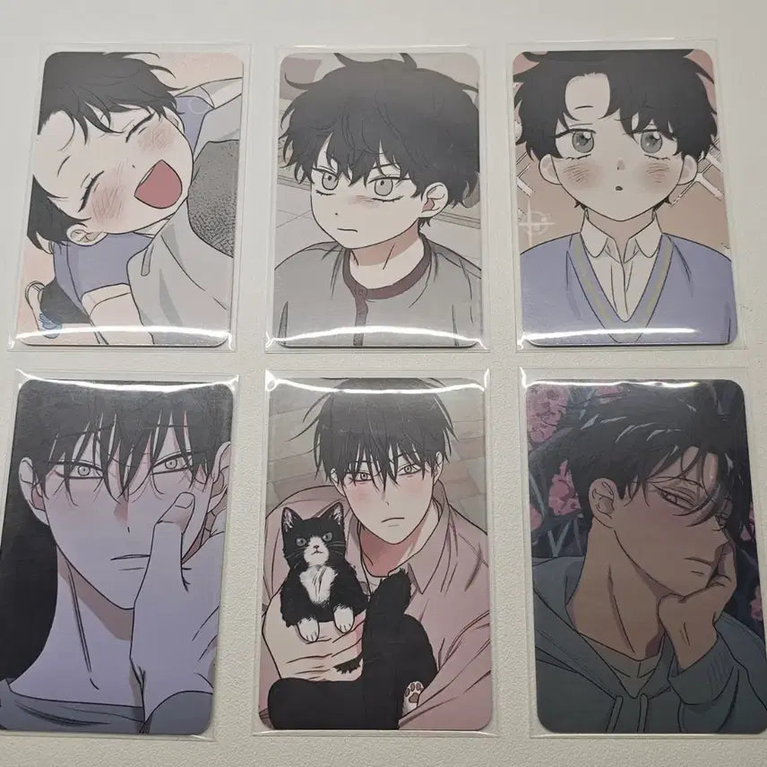 [BUNJANG] Enhypen Water Night Photocard Bundle Set / 물가의 밤 포카 일괄 판매
