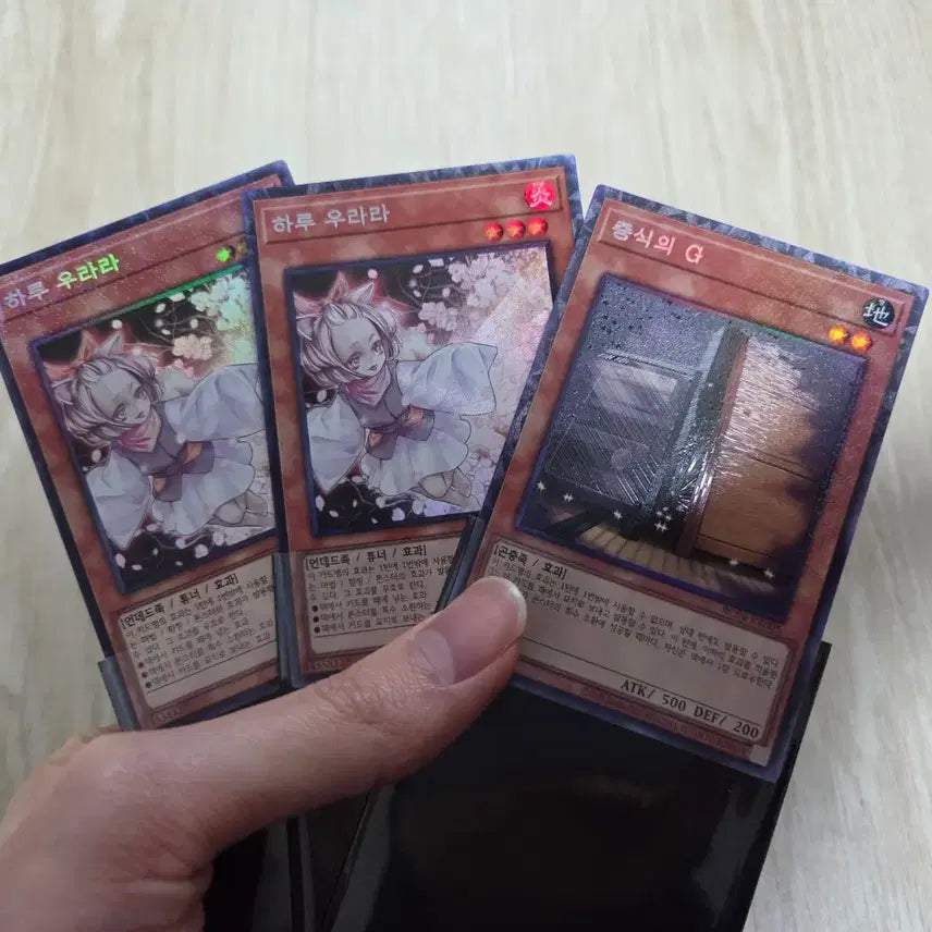 [BUNJANG] Yu-Gi-Oh! Ash Blossom &amp; Joyous Spring, Maxx "C" - Collector&