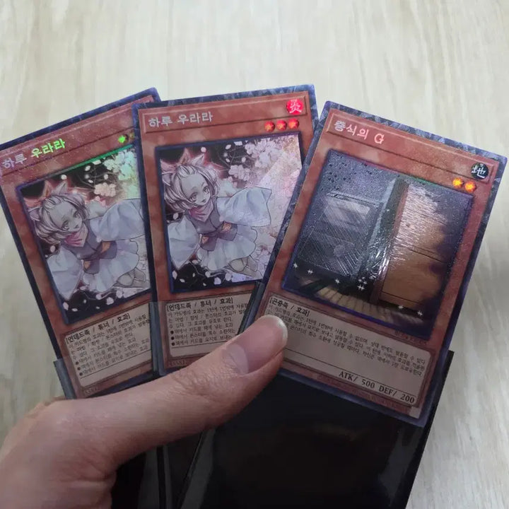 [BUNJANG] Yu-Gi-Oh! Ash Blossom &amp; Joyous Spring, Maxx "C" - Collector&
