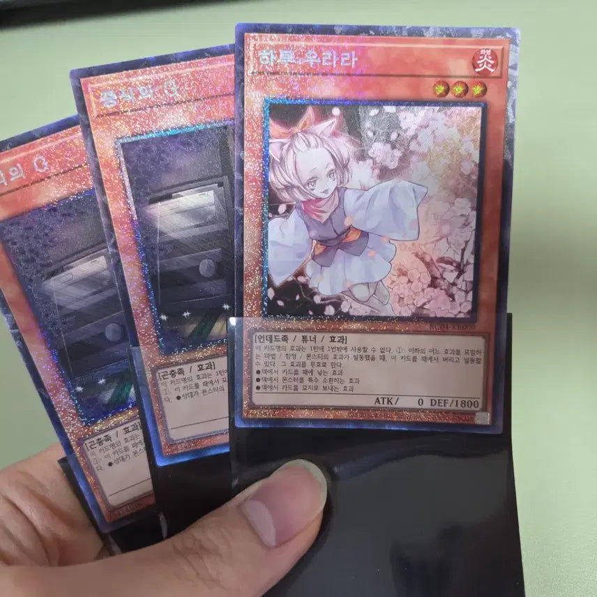 [BUNJANG] Yu-Gi-Oh! Ash Blossom &amp; Joyous Spring, Maxx "C" - Collector&