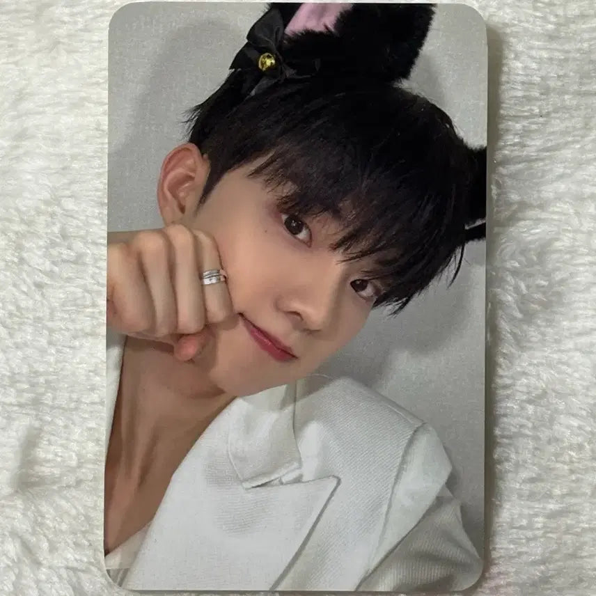 [BUNJANG] The Boyz Q Roar Everline Cat Ver. Lucky Draw / 더보이즈 큐 로어 에버라인 고양이 ver 럭드 포카