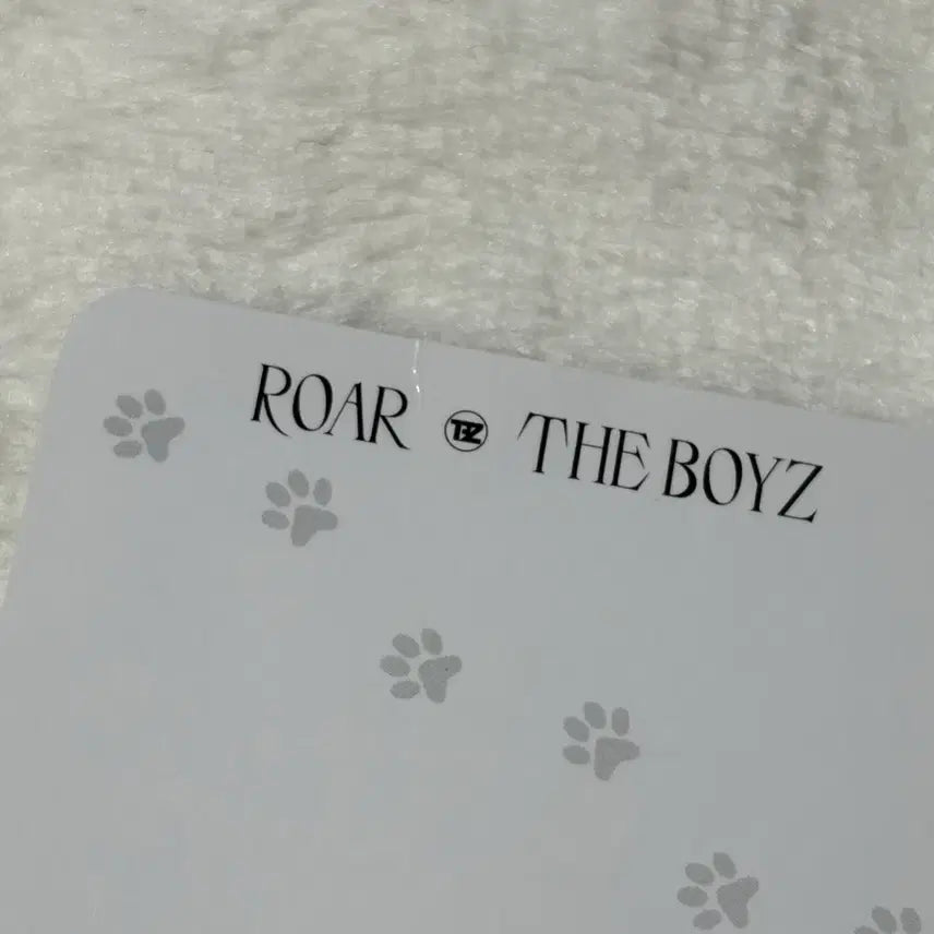 [BUNJANG] The Boyz Q Roar Everline Cat Ver. Lucky Draw / 더보이즈 큐 로어 에버라인 고양이 ver 럭드 포카