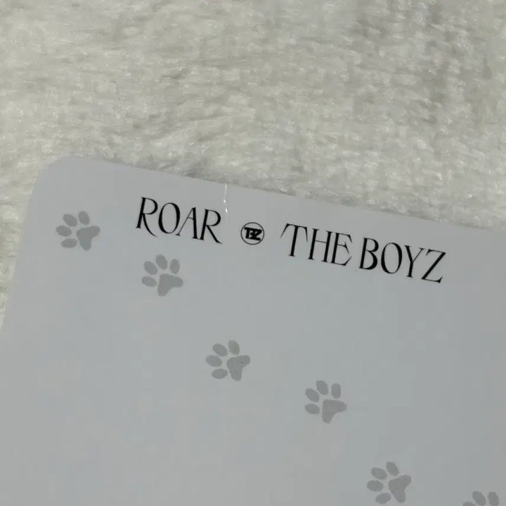 [BUNJANG] The Boyz Q Roar Everline Cat Ver. Lucky Draw / 더보이즈 큐 로어 에버라인 고양이 ver 럭드 포카