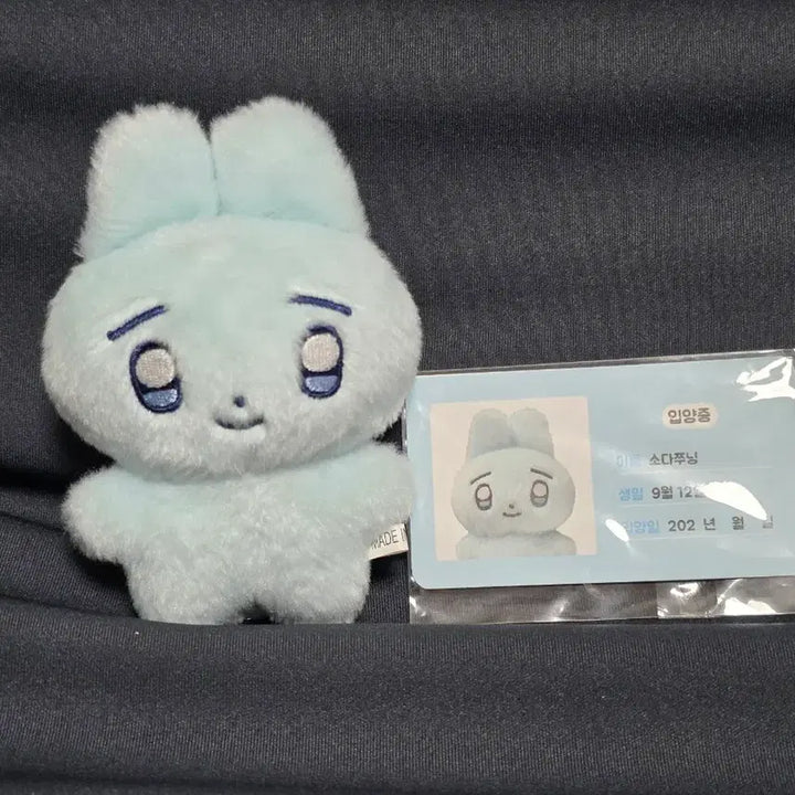 [BUNJANG] PLAVE Yejun SODAzzunig Doll / 플레이브 예준 소다쭈닝