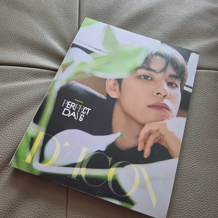 [SOLD OUT] 데이식스 원필 디아이콘 a,b타입 일괄