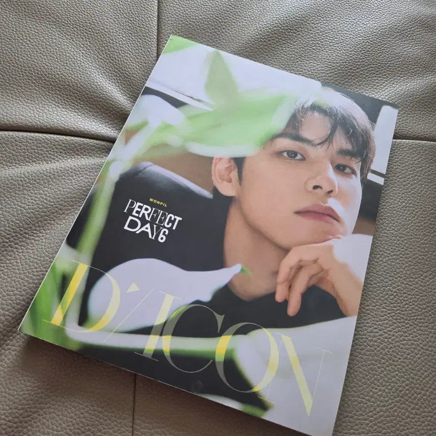 [SOLD OUT] 데이식스 원필 디아이콘 a,b타입 일괄