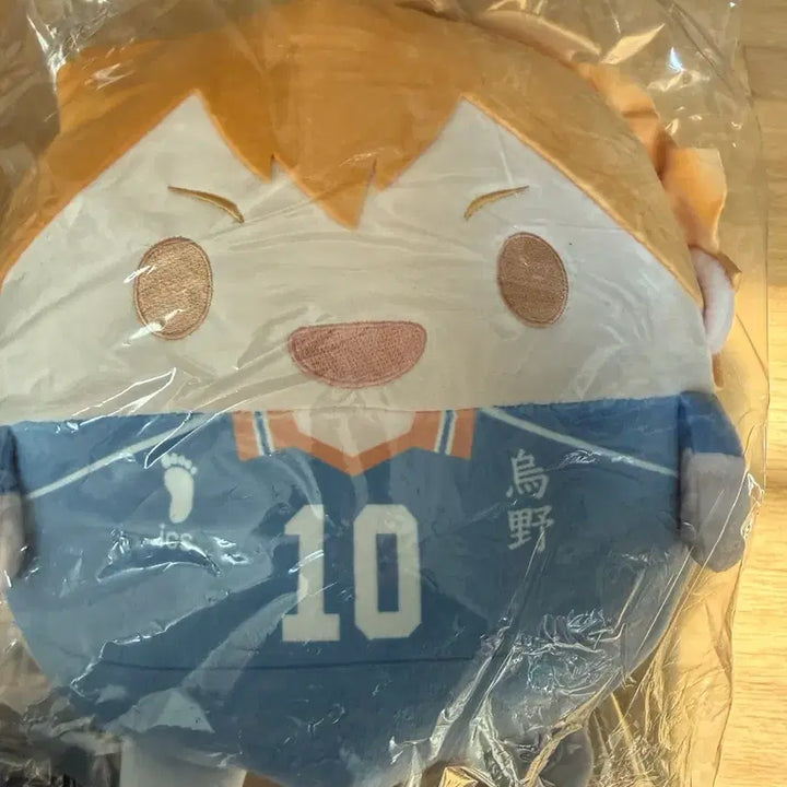 [BUNJANG] Fuwa Quasi Hinata B Prize Figure / 후와쿠지 히나타 B상