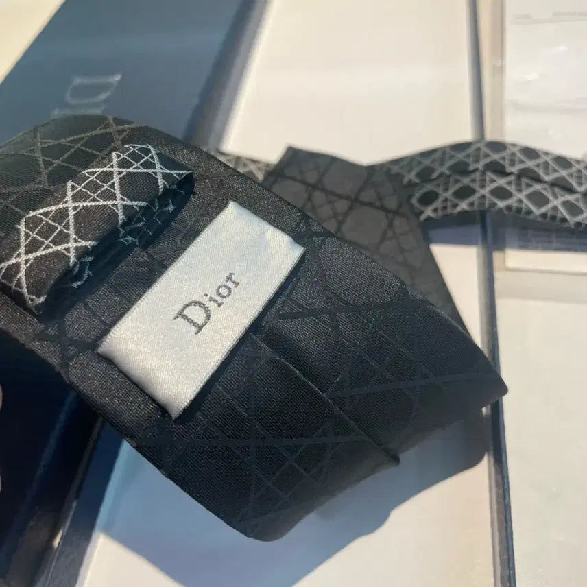 [BUNJANG] Dior Silk Necktie / 디올넥타이