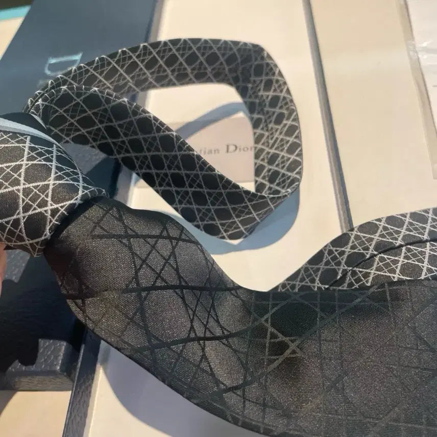[BUNJANG] Dior Silk Necktie / 디올넥타이