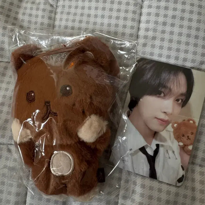 [BUNJANG] NCT Dream Haechan Kkumi Doll / 엔시티드림 해찬 꾸미 인형 양도