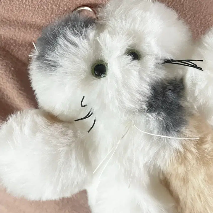 [BUNJANG] GODASHIN Cat Keyring / GODASHIN 고다신 고양이키링